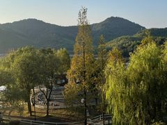 -宁波九龙湖开元度假村