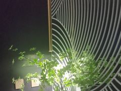 -华夏良子·足道SPA艾灸(金皇大厦店)