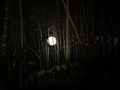 -杭州黄龙洞