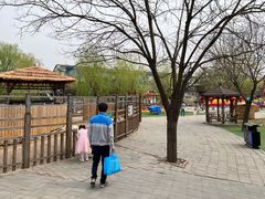 -北京鹿世界主题园
