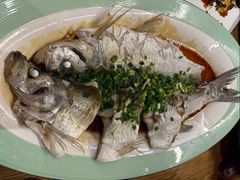-阿巧茶庄