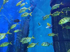 -波塞冬旅游度假区