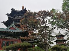 -迎泽公园