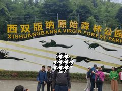 -西双版纳原始森林公园