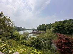 -宁波野生动物园
