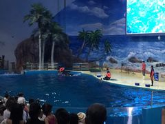 -福州罗源湾海洋世界旅游区