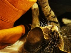 -酒友老火锅(渝中店)