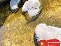 -茯茶镇