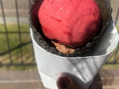 -滴血救世主教堂