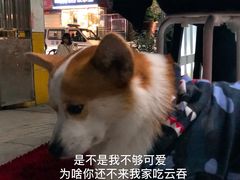 -小梁哥云吞面(黄贝岭店)
