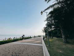 -深圳湾公园(南山区)