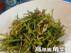 -青海名吃尕张娃非遗烤肉(海湖总店)