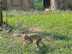 -杭州野生动物世界