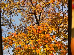 -昆山城市生态森林公园