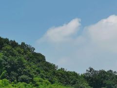 -川西竹海景区