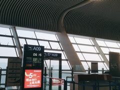 -合肥新桥国际机场-航站楼