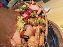 -蛙麻蛙辣炭火蛙锅(南环大街店)