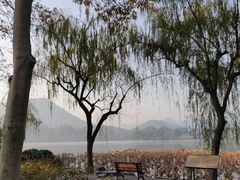 -西湖外事游船(花港观鱼码头)