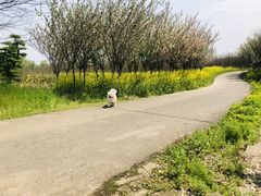 -武汉紫薇都市田园