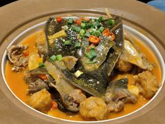 -洞庭家宴·头牌甲鱼(广渠门店)