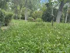 -清溪水库