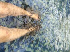 苏州乐园•水上世界-苏州乐园森林水世界