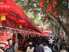 -越秀西湖花市(广州城市广场花卉店)