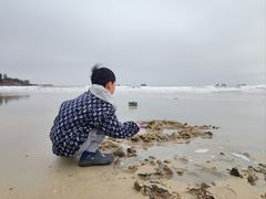 -硇洲岛旅游区