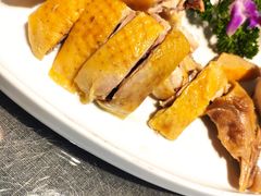 -碧丽宫大酒店(召稼楼店)