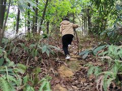 -南山植物园