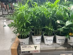-鹿岛生活(熙地港店)