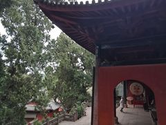 -七曲山风景区