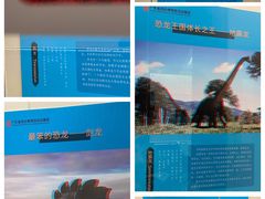 -汕头市博物馆