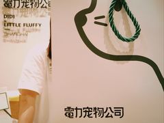 -電力宠物公司(武定路店)