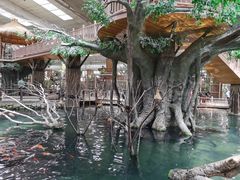 -南宫五洲植物乐园