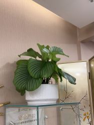 -斐研美医疗美容·眼周抗衰中心