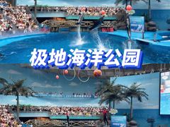 -海合安成都极地海洋公园