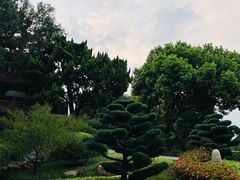 -上海市保健医疗中心