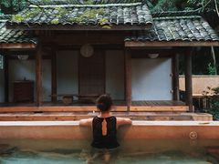 -乐领拈花溪·林涧食韵