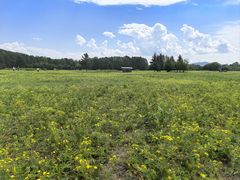 -北极村旅游风景区