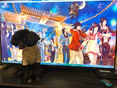 -海底捞火锅(公益西桥店)