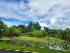 -中国科学院西双版纳热带植物园