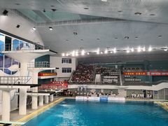 -重庆市奥林匹克体育中心-游泳跳水馆
