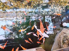 -聚缘堂·海鲜私房菜(松岭路店)