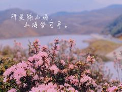 -乌蒙大草原