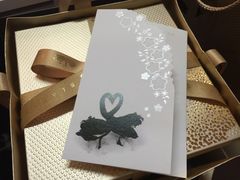 -BLACKSWAN黑天鹅(环球店)