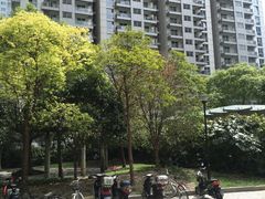 -上海徐汇瑞峰酒店