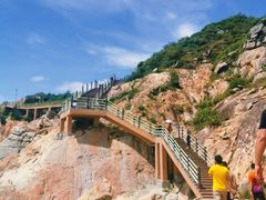 -广东惠东海龟国家级自然保护区
