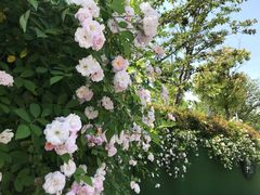 -UNI UNI(环亚凯瑟琳店)