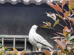 -小草屋轰趴馆别墅派对新场团建家庭聚会